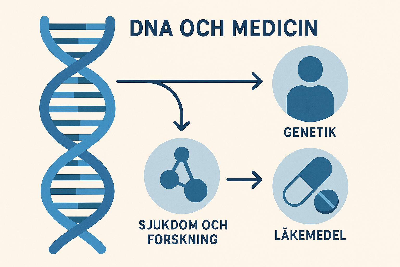 Hur fungerar DNA och dess betydelse för medicin?